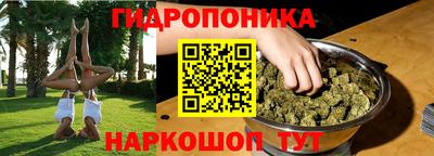 амф Можга