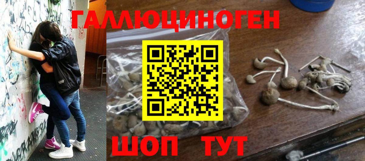 Хабаровск  Псилоцибиновые грибы MAGIC MUSHROOMS  Вход с VPN 